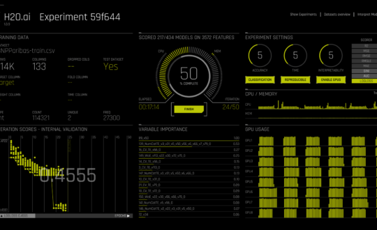 Driverless AI Screen Driverless AI Screen