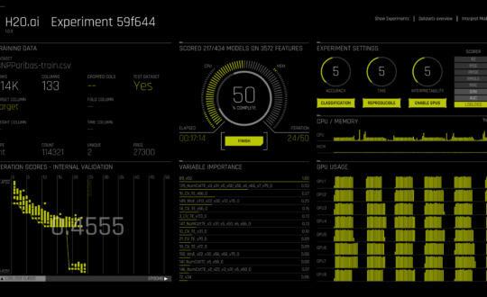 Driverless AI Screen