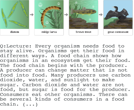 this-image-represents-a-prompt-and-generated-answer-that%27s-meant-to-illustrate-h2ovl-mississippi%27s-capacity-to-understand-textbook-questions.-the-image-itself-shows-a-diagram-depicting-a-simple-aquatic-food-chain.-it-starts-with-diatoms-%28green%2C-leaf-shaped-organisms%29%2C-followed-by-midge-larvae-%28brown-segmented-organism%29%2C-then-a-brown-trout-%28a-fish%29%2C-and-ends-with-a-great-cormorant-%28a-black-bird-with-spread-wings%29.-the-sequence-illustrates-the-flow-of-energy-from-producers-%28diatoms%29-to-primary-consumers-%28midge-larvae%29%2C-secondary-consumers-%28brown-trout%29%2C-and-finally-tertiary-consumers-%28great-cormorant%29%2C-visually-representing-the-concept-of-a-food-chain-in-an-ecosystem this-image-represents-a-prompt-and-generated-answer-that%27s-meant-to-illustrate-h2ovl-mississippi%27s-capacity-to-understand-textbook-questions.-the-image-itself-shows-a-diagram-depicting-a-simple-aquatic-food-chain.-it-starts-with-diatoms-%28green%2C-leaf-shaped-organisms%29%2C-followed-by-midge-larvae-%28brown-segmented-organism%29%2C-then-a-brown-trout-%28a-fish%29%2C-and-ends-with-a-great-cormorant-%28a-black-bird-with-spread-wings%29.-the-sequence-illustrates-the-flow-of-energy-from-producers-%28diatoms%29-to-primary-consumers-%28midge-larvae%29%2C-secondary-consumers-%28brown-trout%29%2C-and-finally-tertiary-consumers-%28great-cormorant%29%2C-visually-representing-the-concept-of-a-food-chain-in-an-ecosystem