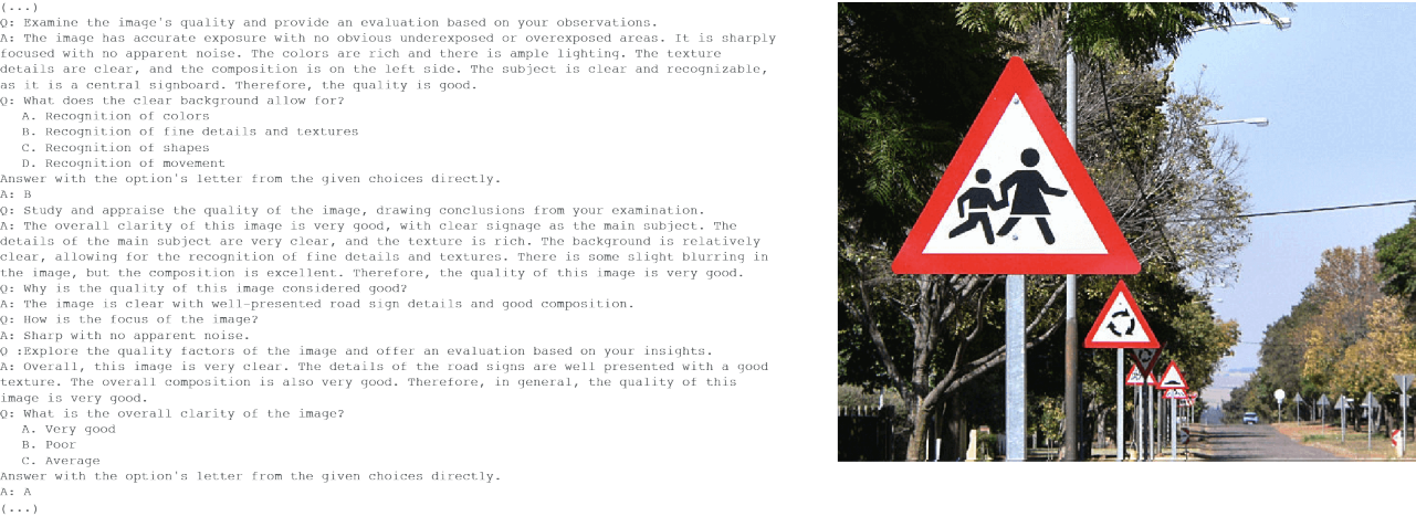 Reasoning stage during computer vision fine tuning An example of H2OVL Mississippi's capacity to reason while fine tuning for OCR and computer vision. The image used to illustrate this is as follows: Q - Examine the image's quality and provide an evaluation based on your observations. A - A clear road image shows multiple triangular traffic signs with the symbol of two pedestrians, indicating a school zone ahead. The signs are lined up along the left side of a road, gradually receding into the distance. The trees on both sides of the road are in focus, with the sky visible between them. The lighting is balanced, with vivid colors and clear textures, and the signs are well positioned, making the image quality good.