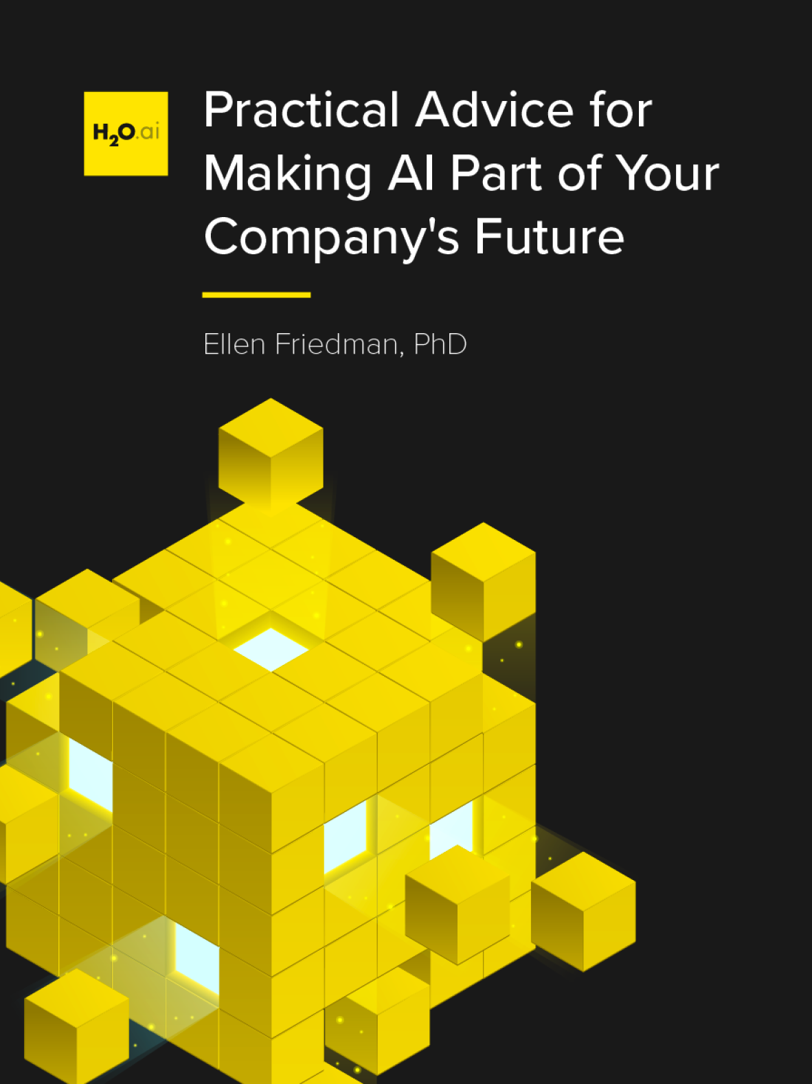 Practical Advice for Making AI Part of Your Company's Future Practical Advice for Making AI Part of Your Company's Future